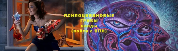 ALPHA PVP Покачи