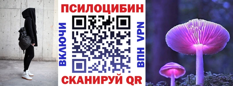Галлюциногенные грибы Psilocybe  Нововоронеж 