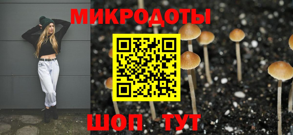 закладка  Вход с VPN  Нововоронеж  Псилоцибиновые грибы прущие грибы  Галлюциногенные грибы GOLDEN TEACHER 